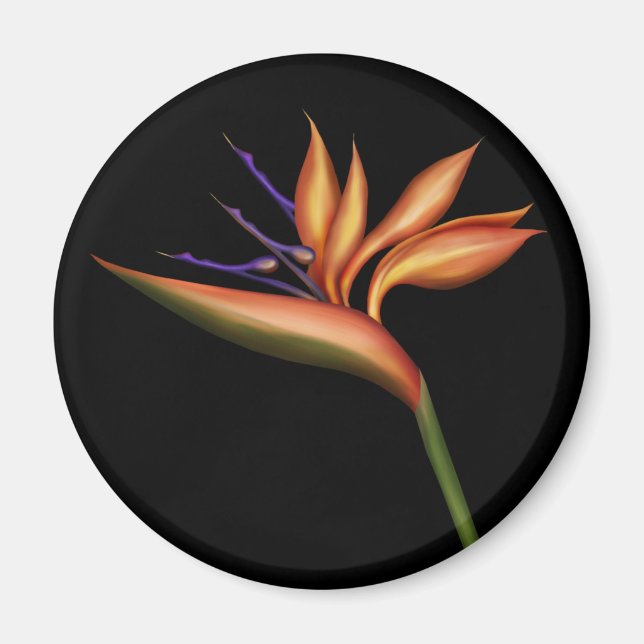 Bird Of Paradise Magnet (Front)
