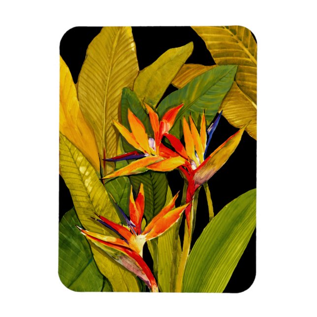 Bird of Paradise Magnet (Vertical)