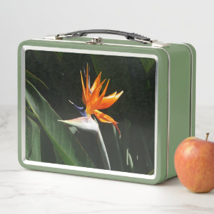 Bird of Paradise Metal Lunch Box