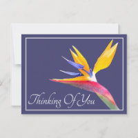 Bird Of Paradise Navy Background Thinking Of You