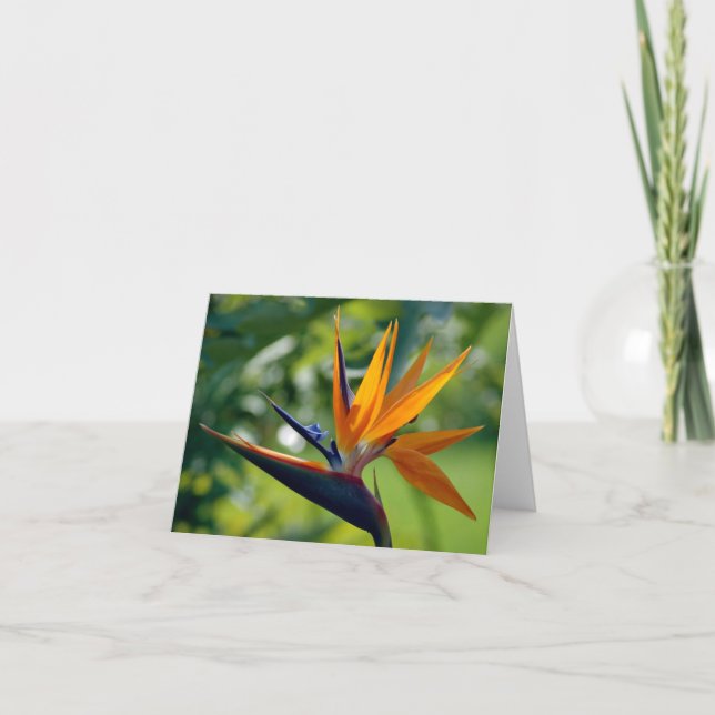 Bird Of Paradise Note Card (Front)