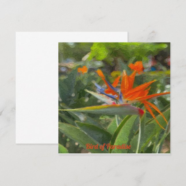 Bird of Paradise Oil Painting   Card (Front/Back)