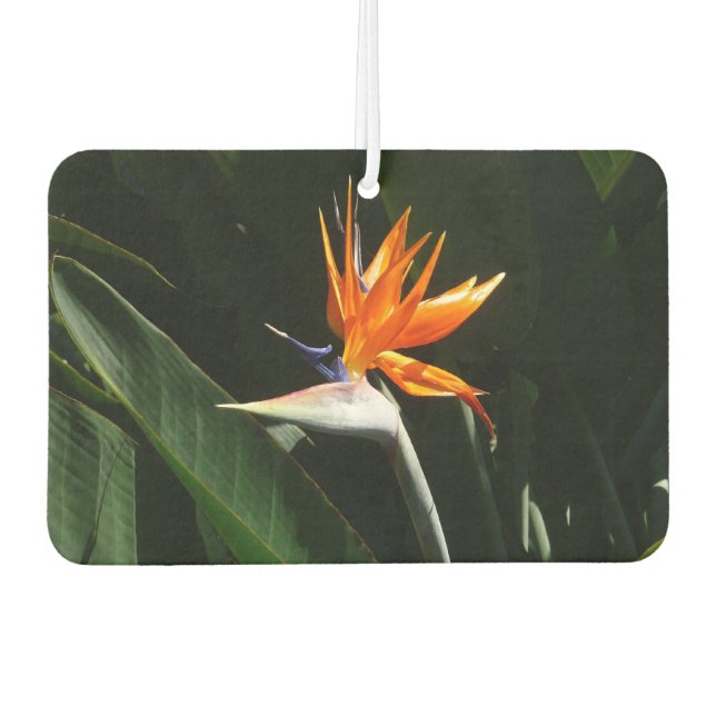 Bird of Paradise Orange Tropical Flower Air Freshener (Front)