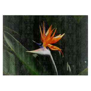 Bird of Paradise Orange Tropical Flower Cutting Board