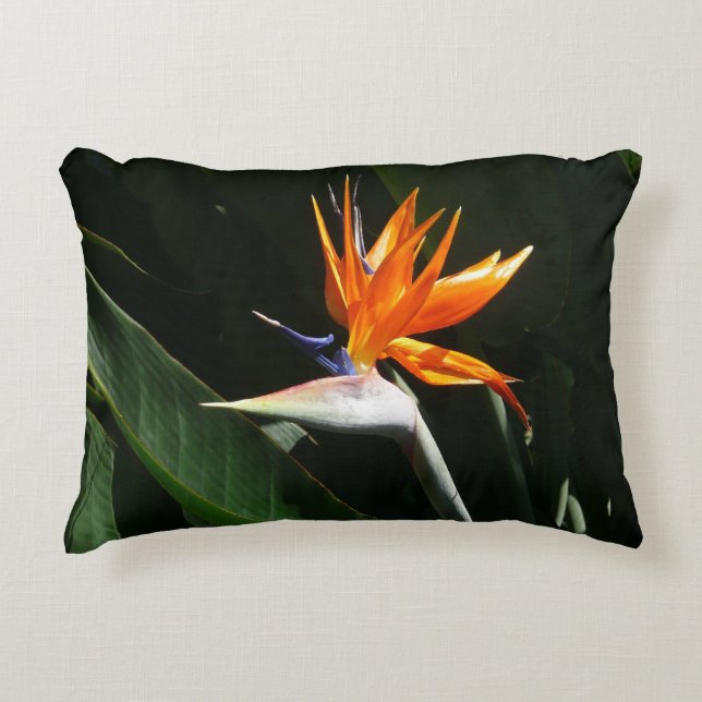 Bird of Paradise Orange Tropical Flower Decorative Pillow (Front)