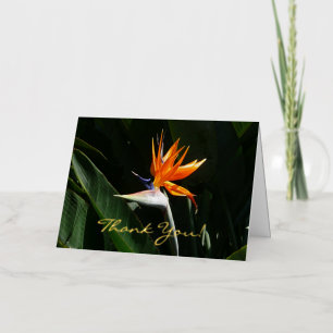 Bird of Paradise Orange Tropical Flower Foil Greeting Card