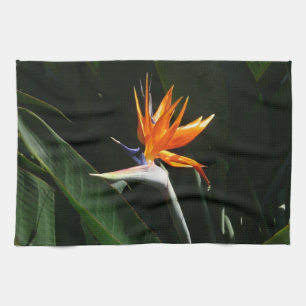 Bird of Paradise Orange Tropical Flower Kitchen Towel