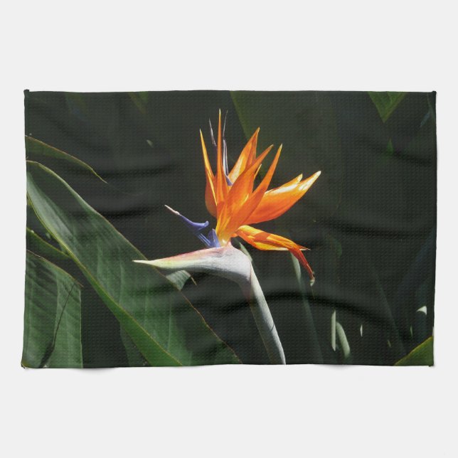 Bird of Paradise Orange Tropical Flower Kitchen Towel (Horizontal)