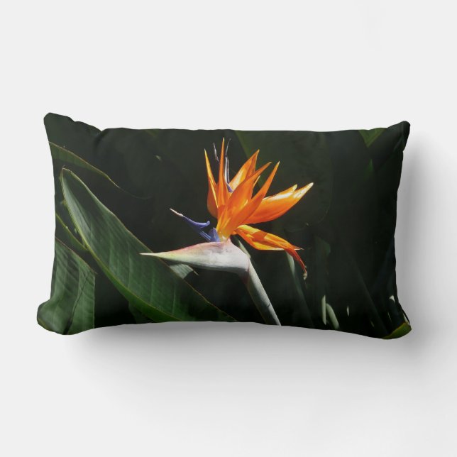 Bird of Paradise Orange Tropical Flower Lumbar Pillow (Front)