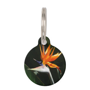 Bird of Paradise Orange Tropical Flower Pet Tag