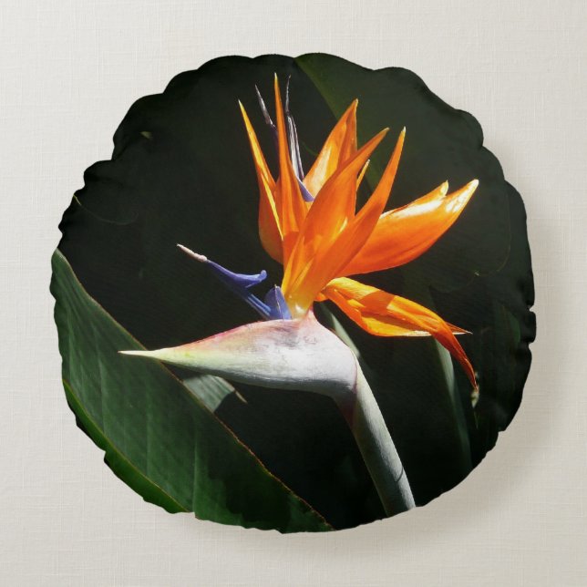 Bird of Paradise Orange Tropical Flower Round Pillow (Front)