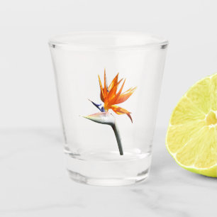 Bird of Paradise Orange Tropical Flower Shot Glass