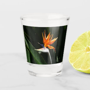 Bird of Paradise Orange Tropical Flower Shot Glass