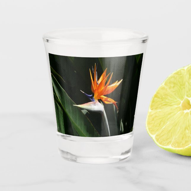 Bird of Paradise Orange Tropical Flower Shot Glass (Front)