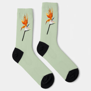 Bird of Paradise Orange Tropical Flower Socks