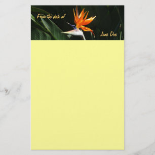 Bird of Paradise Orange Tropical Flower Stationery