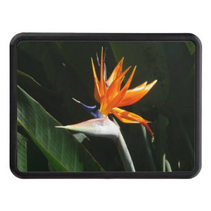 Bird of Paradise Orange Tropical Flower Trailer Hitch Cover