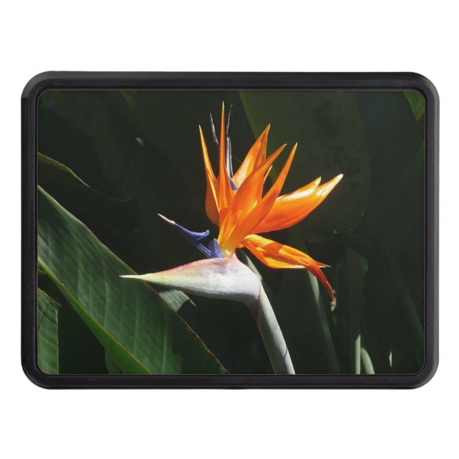 Bird of Paradise Orange Tropical Flower Trailer Hitch Cover (Front)