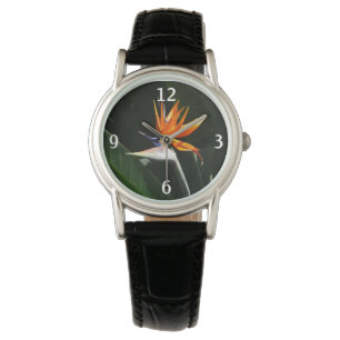 Bird of Paradise Orange Tropical Flower Watch