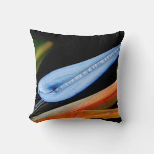 Bird of Paradise Photo Throw Pillow