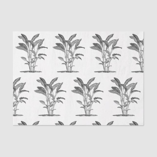 Bird of Paradise Plant Decoupage Tissue Paper (Front)