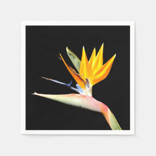 Bird of Paradise Plant Paper Napkins