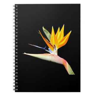 Bird of Paradise Plant Spiral Notebook
