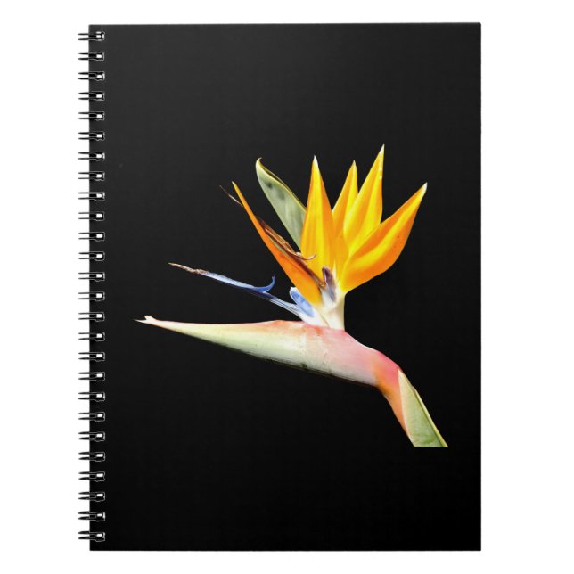 Bird of Paradise Plant Spiral Notebook (Front)