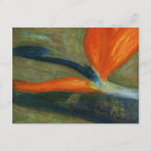 Bird of Paradise, Postcard