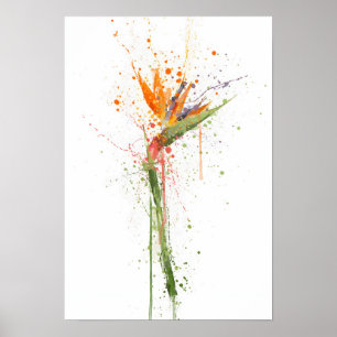 Bird of Paradise Poster