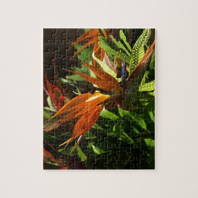Bird of Paradise Puzzle (Vertical)