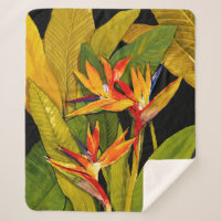 Bird of Paradise