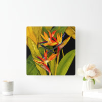 Bird of Paradise