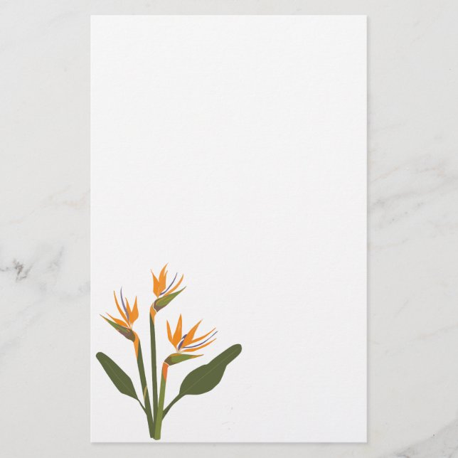 Bird of Paradise Stationery (Front)