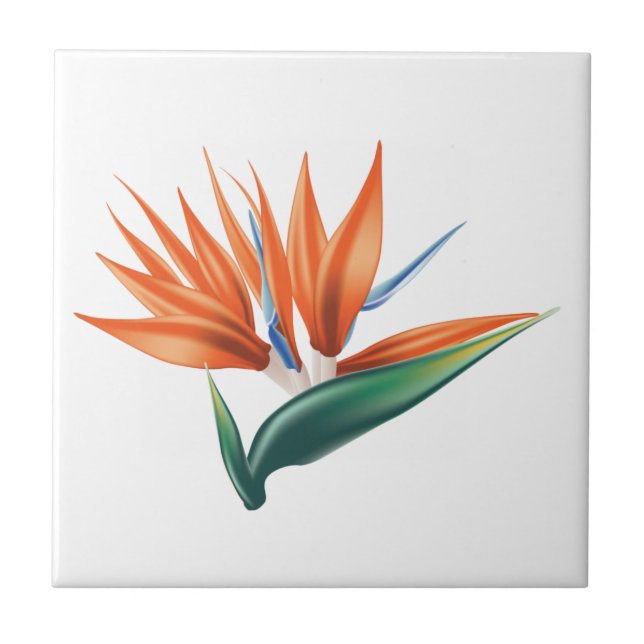 Bird of paradise, strelitzia exotic flower tile (Front)