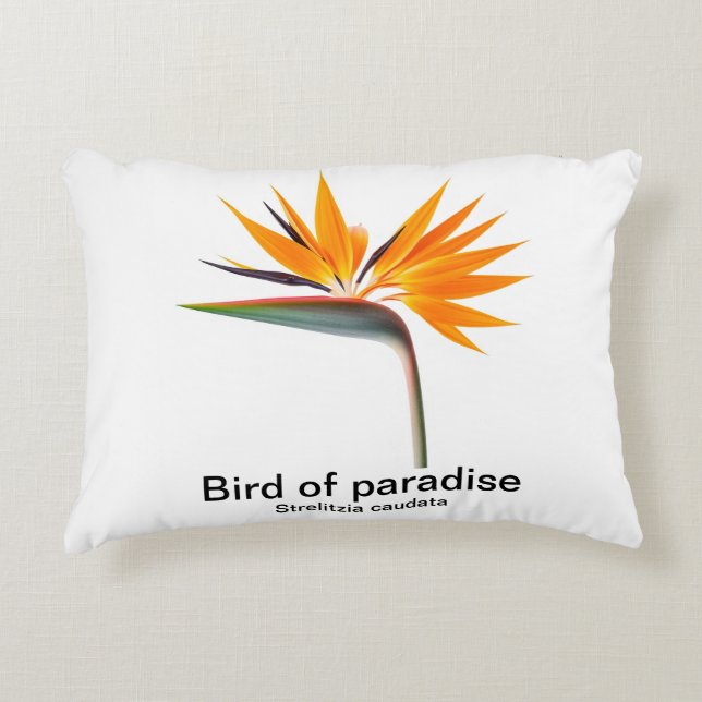 bird of paradise strelitzia pillow (Front)