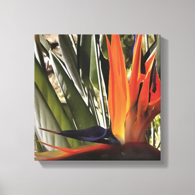 Bird of Paradise Strelitzia Reginae Acrylic Painti Canvas Print (Front)