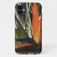 Bird of Paradise Strelitzia Reginae Acrylic Painti