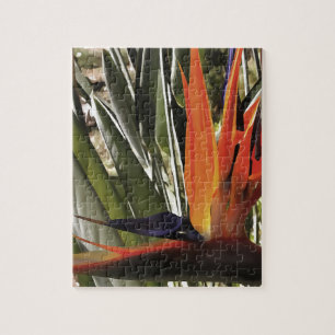 Bird of Paradise Strelitzia Reginae Acrylic Painti Jigsaw Puzzle