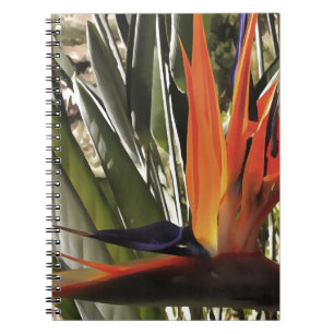 Bird of Paradise Strelitzia Reginae Acrylic Painti Notebook