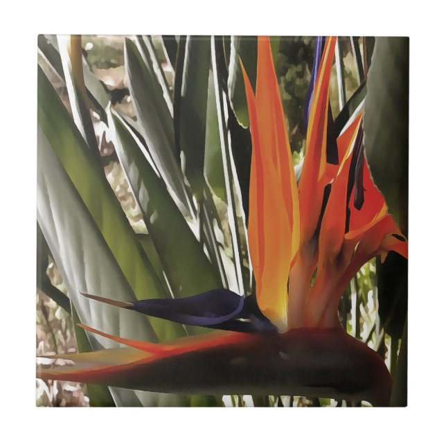Bird of Paradise Strelitzia Reginae Acrylic Painti Tile (Front)