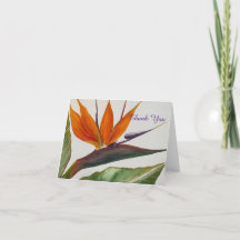 Bird of Paradise Thank You Card