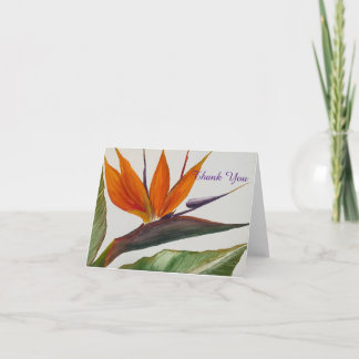Bird of Paradise Thank You Card