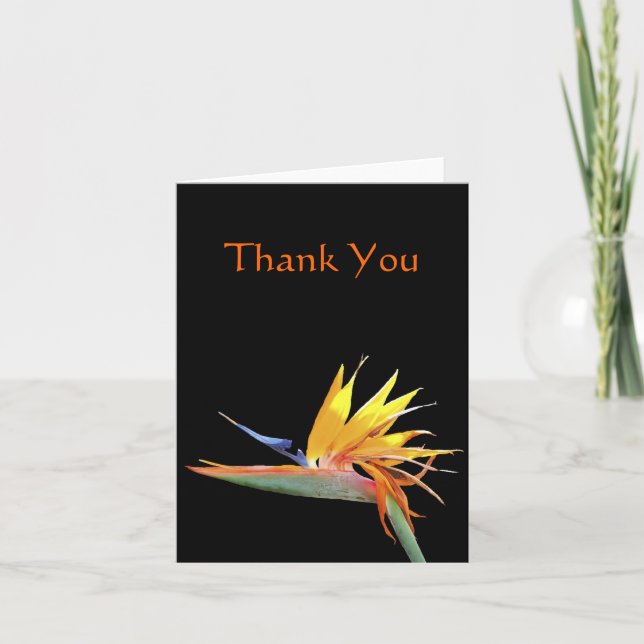 Bird of Paradise Thank You Note Card (Front)