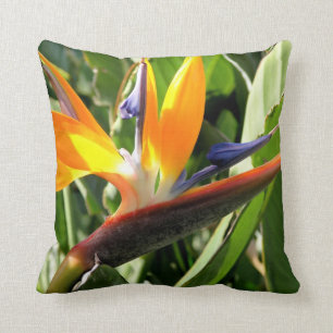 Bird of Paradise Throw Pillow