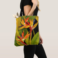 Bird of Paradise