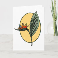 Bird of Paradise Tropical Flower Botanical