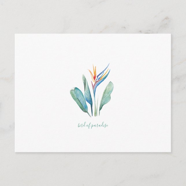 Bird of Paradise Tropical Watercolor  Postcard (Front)