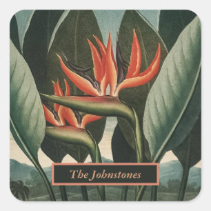 Bird of Paradise Vintage Temple of Flora with Name Square Sticker
