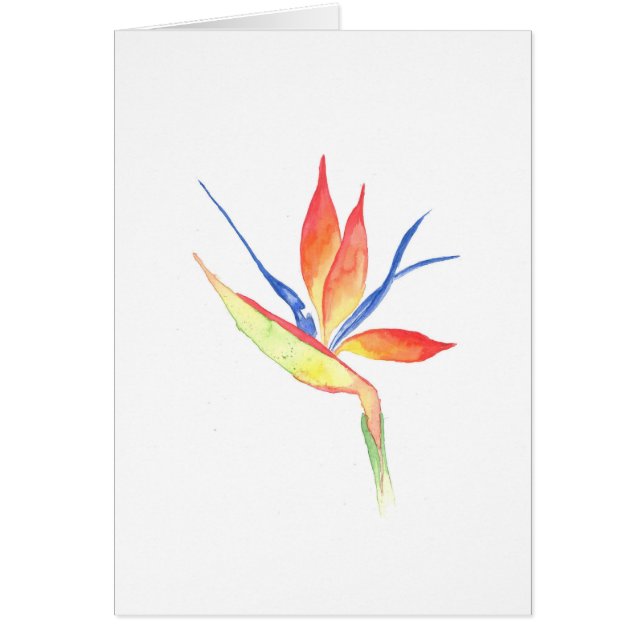 Bird of Paradise Watercolor Print Greeting Card (Front)